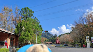 大溪慈湖遊客中心-集章-桃園