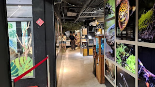 新竹市集章紀念章-昆蟲館